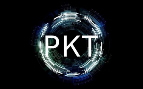 Know More About the PKT Cash Cryptocurrency and Its Price
