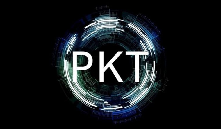 Know More About the PKT Cash Cryptocurrency and Its Price
