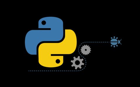 What is a Computer Vision with Python Course?