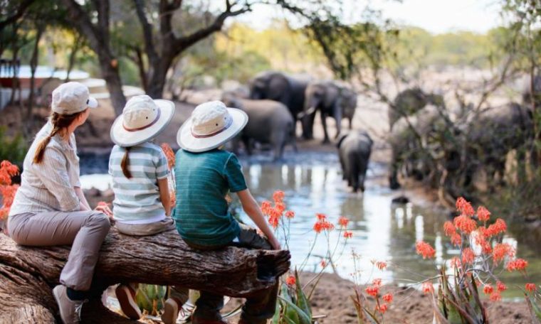 Family Safaris In Africa