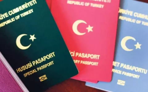 Turkey Visa for Saint Lucia Citizens
